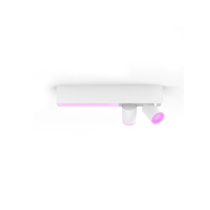 Philips Hue Centris Ceiling Spotlight | Smart RGBW |White – 2 Spot